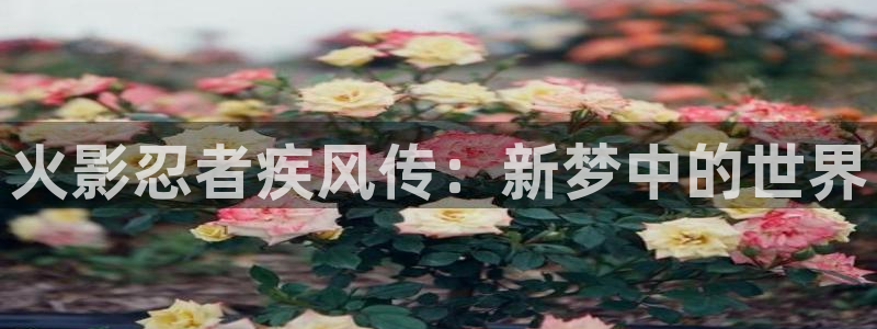 樱花漫画专注动漫的门户网站